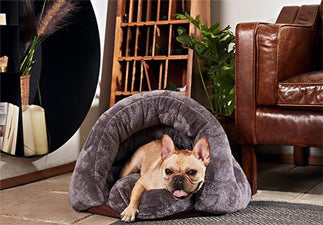 This Could Be The Cutest Way To Cure Your Dog's Anxiety!