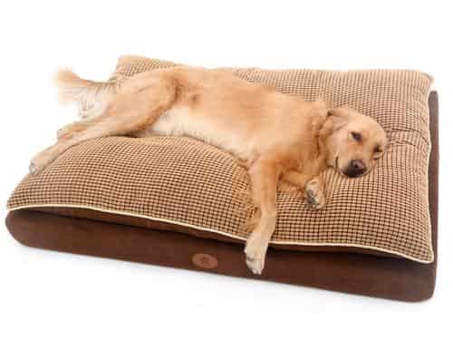 Paradise Orthopedic Pillow Top Dog Bed Ranked #2 in EZVid Wiki's Best Memory Foam Dog Beds