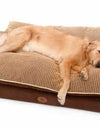 Paradise Orthopedic Pillow Top Dog Bed Ranked #2 in EZVid Wiki's Best Memory Foam Dog Beds