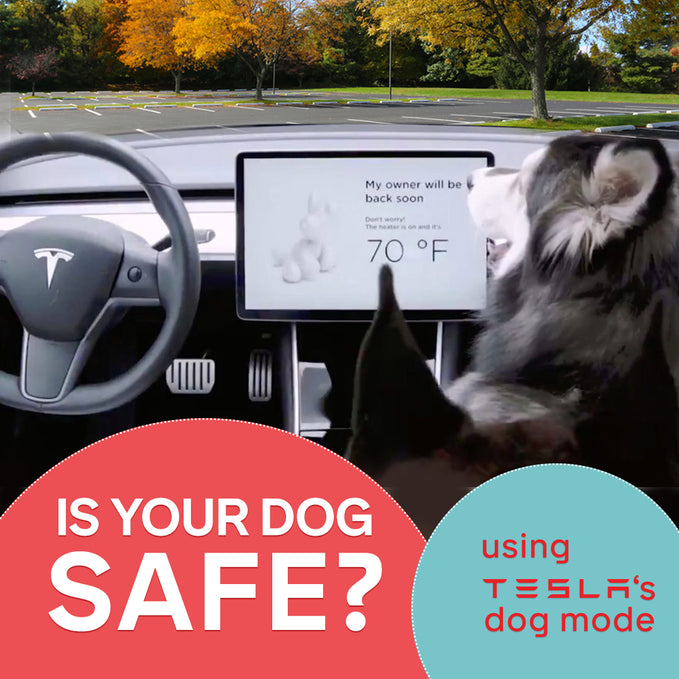 Will Tesla's Dog Mode Make it Safe to Leave Your Pup in the Car?