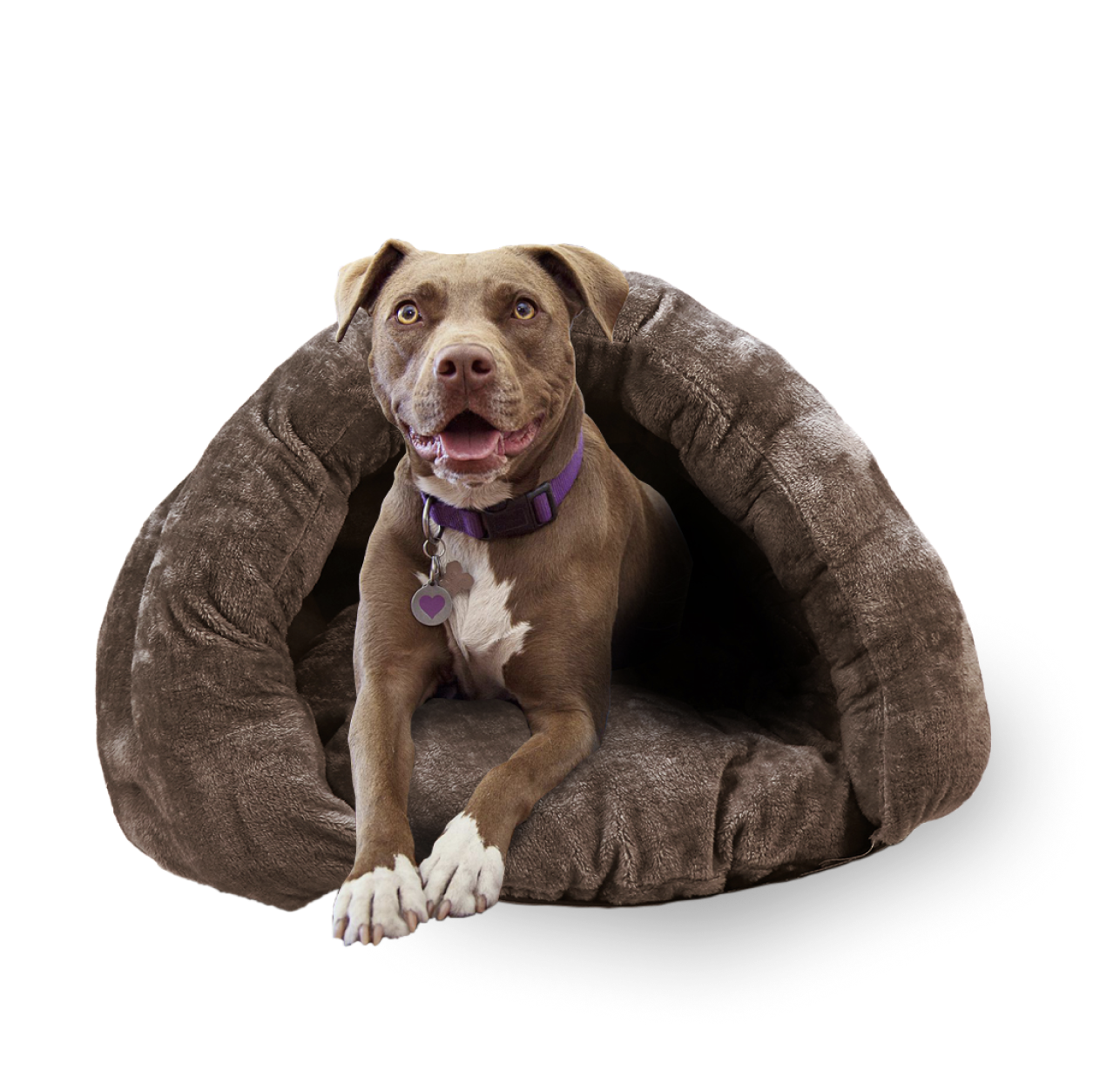 What is The Cuddle Pouch?